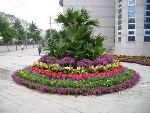 宁波绿植租赁案例