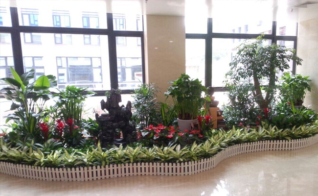 宁波植物租赁案例