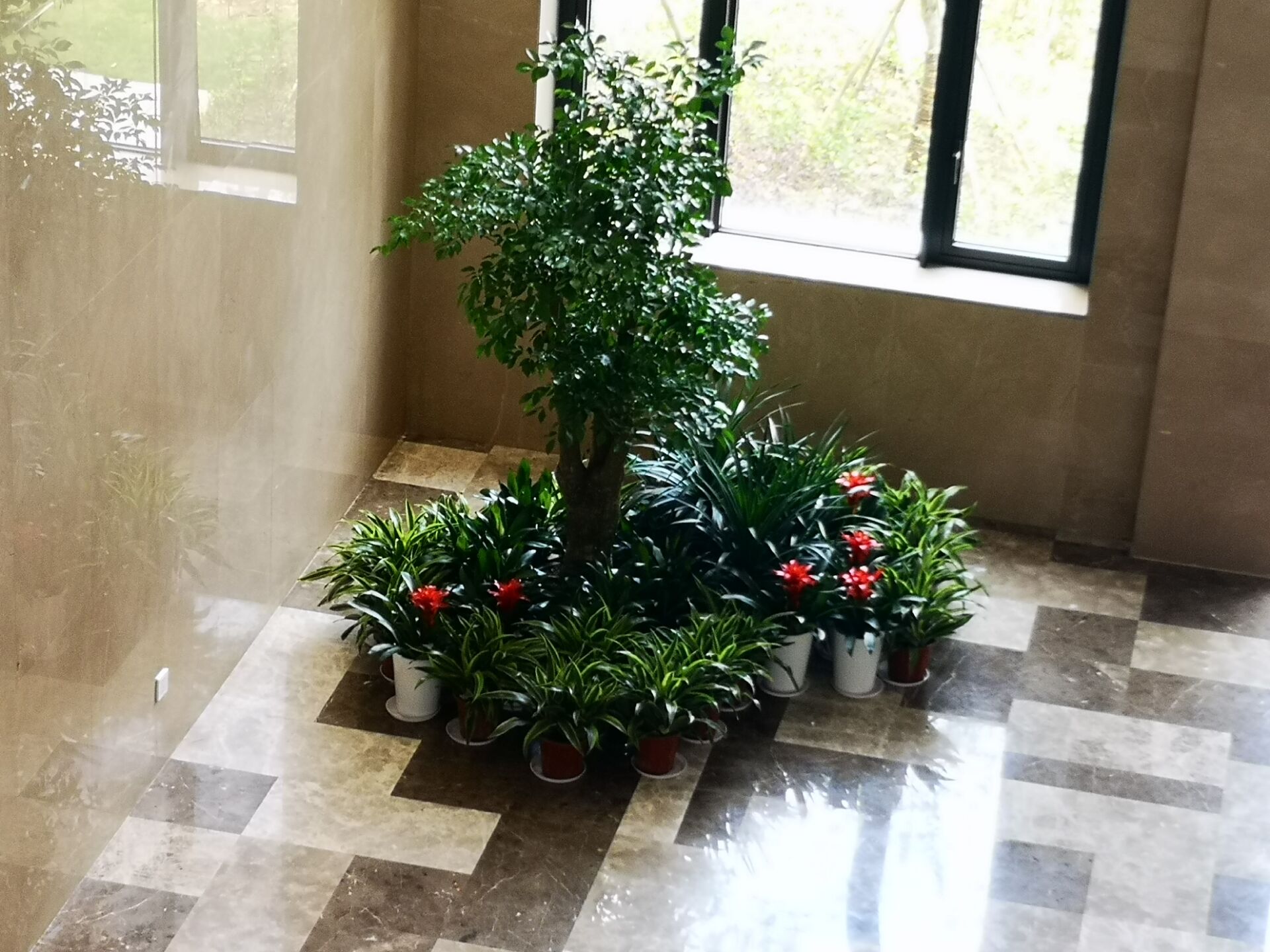 宁波植物出租案例